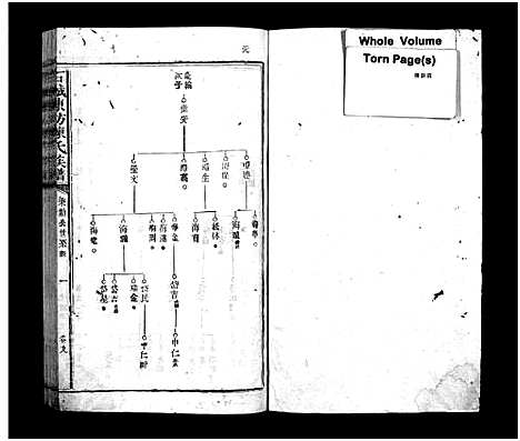 [陈]石城陈坊陈氏族谱_54卷-Shi Cheng Chen Fang Chen Shi_陈坊陈氏族谱 (江西) 石城陈坊陈氏家谱_八.pdf