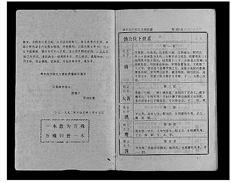 [陈]萍乡白竺陈氏九修族谱 (江西) 萍乡白竺陈氏九修家谱_一.pdf