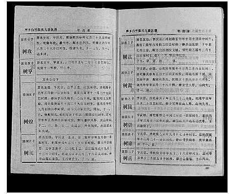 [陈]萍乡白竺陈氏九修族谱 (江西) 萍乡白竺陈氏九修家谱_二.pdf