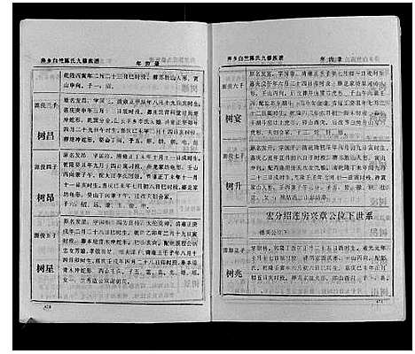 [陈]萍乡白竺陈氏九修族谱 (江西) 萍乡白竺陈氏九修家谱_二.pdf