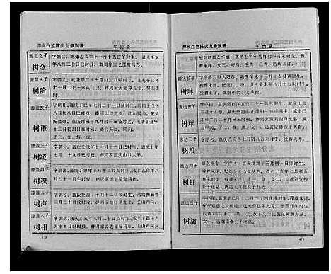 [陈]萍乡白竺陈氏九修族谱 (江西) 萍乡白竺陈氏九修家谱_二.pdf