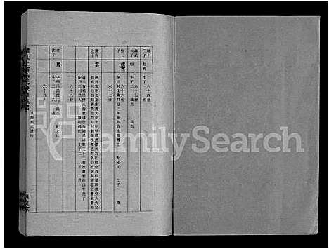 [陈]赣江上游陈氏联修族谱_11卷首2卷 (江西) 赣江上游陈氏联修家谱_十.pdf