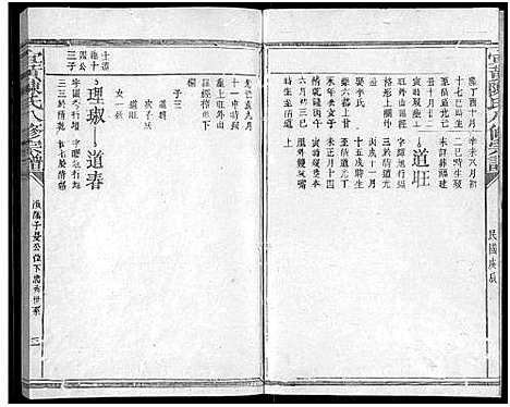 [陈]宜黄陈氏八修宗谱_不分卷 (江西) 宜黄陈氏八修家谱_九.pdf