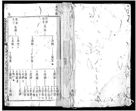 [陈]石城陈坊陈氏重修族谱_卷数不详 (江西) 石城陈坊陈氏重修家谱_五.pdf