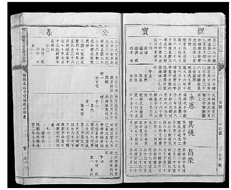 [陈]赣江上游陈氏首届联修族谱_不分卷 (江西) 赣江上游陈氏首届联修家谱_十二.pdf