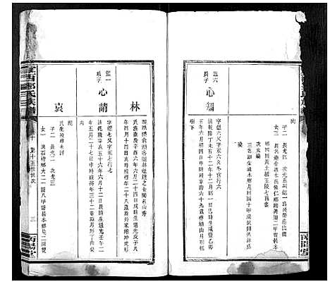 [邓]宜西邓氏族谱 (江西) 宜西邓氏家谱_十.pdf