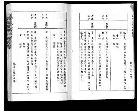 [丁]济阳丁氏九修族谱 (江西) 济阳丁氏九修家谱_九.pdf