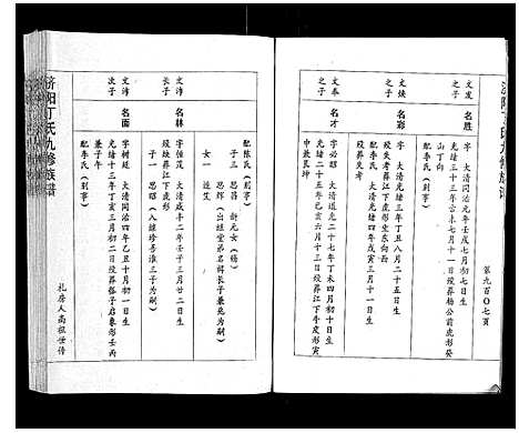 [丁]济阳丁氏九修族谱 (江西) 济阳丁氏九修家谱_十三.pdf