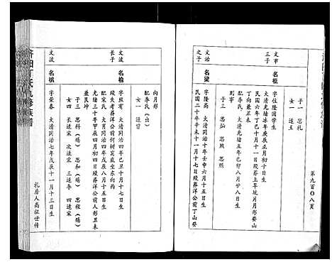 [丁]济阳丁氏九修族谱 (江西) 济阳丁氏九修家谱_十三.pdf