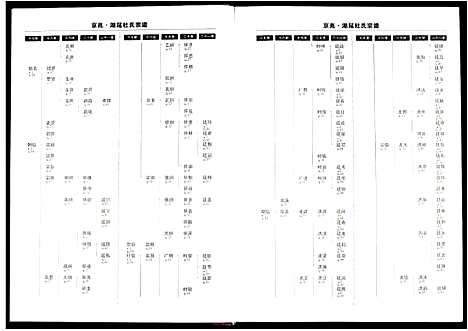 [杜]京兆湖尾杜氏宗谱_人丁卷残卷 (江西) 京兆湖尾杜氏家谱_五.pdf