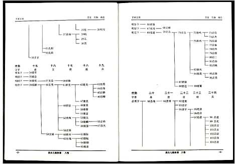 [段]段氏七修族谱 (江西) 段氏七修家谱_八.pdf