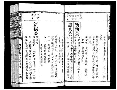 [范]七岭福广公范氏族谱_不分卷 (江西) 七岭福广公范氏家谱_八.pdf