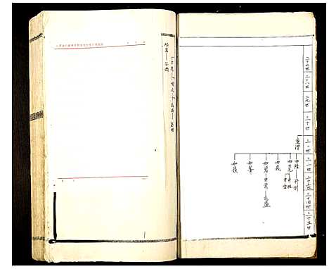 [郭]郭氏邯公派下合修族谱 (江西) 郭氏邯公派下合修家谱_二十四.pdf