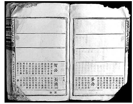 [洪]宜黄洪氏宗谱 (江西) 宜黄洪氏家谱.pdf