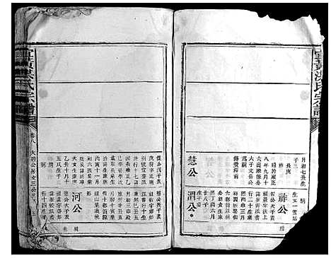 [洪]宜黄洪氏宗谱 (江西) 宜黄洪氏家谱.pdf