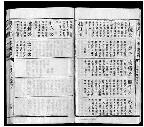 [胡]胡氏十一修族谱 (江西) 胡氏十一修家谱_十七.pdf