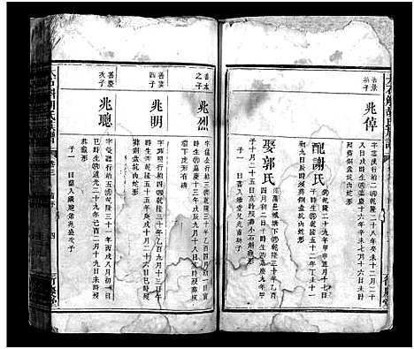 [胡]胡氏族谱_3卷首1卷-Hu Shi_大石斛胡氏族谱 (江西) 胡氏家谱_四.pdf