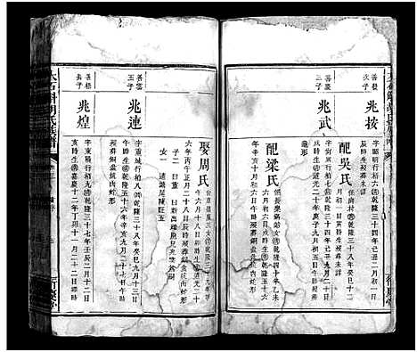 [胡]胡氏族谱_3卷首1卷-Hu Shi_大石斛胡氏族谱 (江西) 胡氏家谱_四.pdf