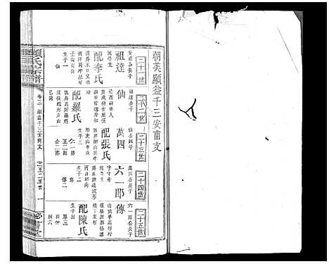 [赖]赖氏宗谱 (江西) 赖氏家谱_二.pdf