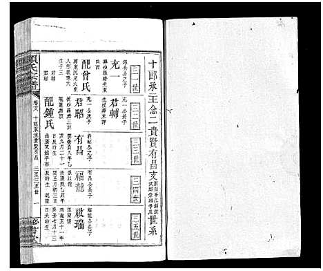 [赖]赖氏宗谱 (江西) 赖氏家谱_十三.pdf