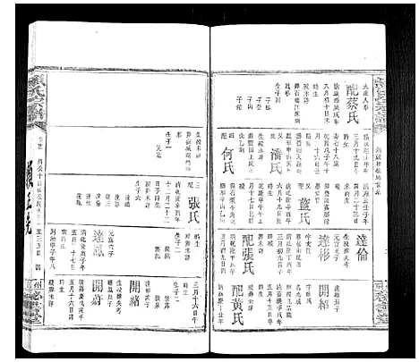 [赖]赖氏族谱 (江西) 赖氏家谱_十三.pdf