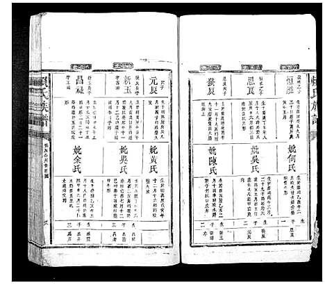 [赖]赖氏族谱 (江西) 赖氏家谱_三.pdf