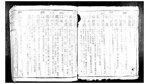 [蓝]信丰蓝氏七修族谱 (江西) 信丰蓝氏七修家谱_二.pdf