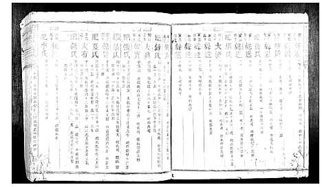 [蓝]信丰蓝氏七修族谱 (江西) 信丰蓝氏七修家谱_二.pdf