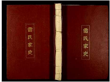 [雷]雷氏家史_11卷及卷首 (江西) 雷氏家史_九.pdf