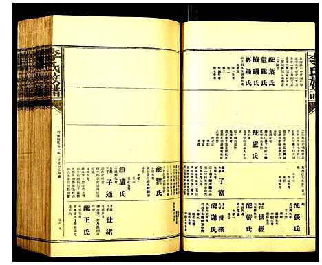 [李]李氏族谱 (江西) 李氏家谱_二十四.pdf