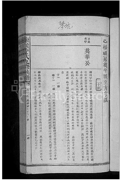 [李]东龙李氏九修族谱_残卷 (江西) 东龙李氏九修家谱_九.pdf