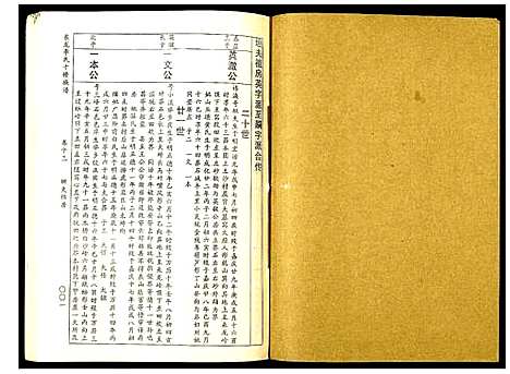 [李]东龙李氏十修族谱_32册 (江西) 东龙李氏十修家谱_十三.pdf