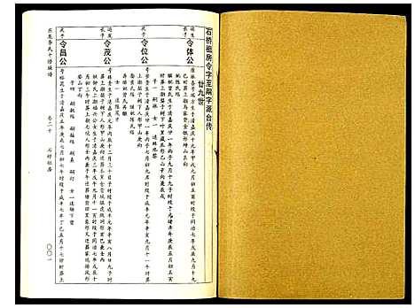 [李]东龙李氏十修族谱_32册 (江西) 东龙李氏十修家谱_二十.pdf