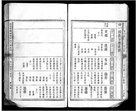 [李]瑞邑智乡岽背李氏八修族谱_不分卷 (江西) 瑞邑智乡岽背李氏八修家谱_二.pdf