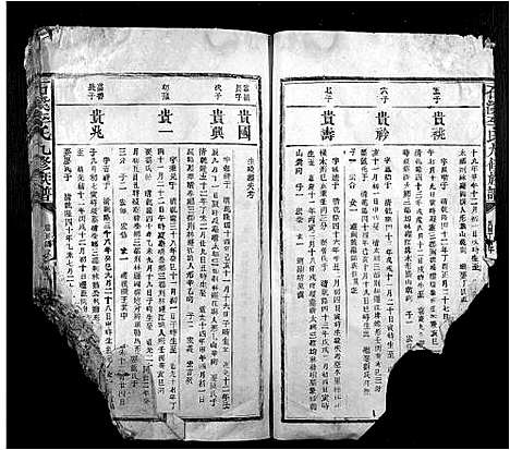 [李]石溪李氏九修族谱 (江西) 石溪李氏九修家谱_八.pdf