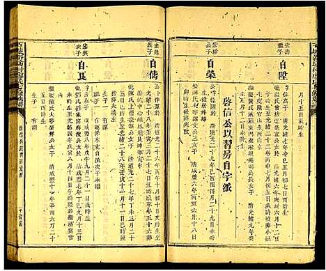 [廖]石城新坊村廖氏七修族谱_不分卷 (江西) 石城新坊村廖氏七修家谱_十八.pdf