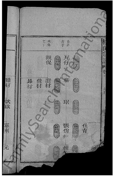 [林]林氏宗谱_2卷-闽林宗谱 (江西) 林氏家谱_三.pdf