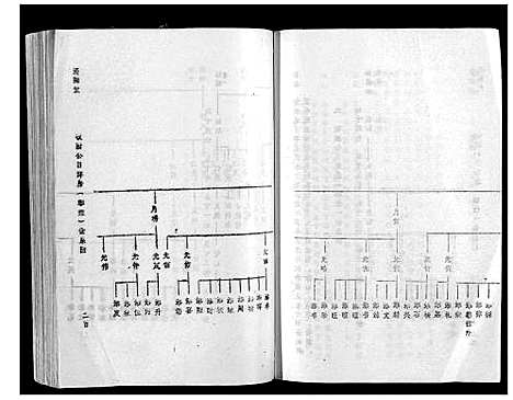 [林]雩林五次选修族谱_6卷 (江西) 雩林五次选修家谱_二.pdf