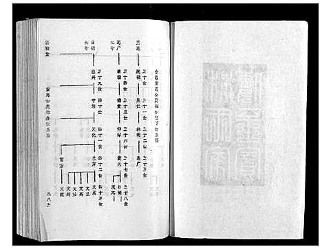 [林]雩林五次选修族谱_6卷 (江西) 雩林五次选修家谱_六.pdf