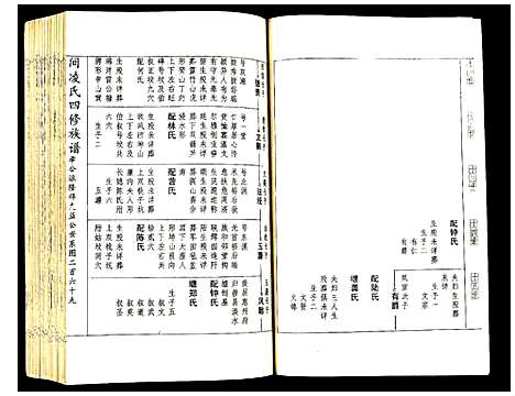 [凌]河间凌氏四修族谱 (江西) 河间凌氏四修家谱_六.pdf