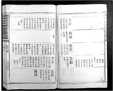 [刘]赣县玉田刘崇正堂族谱 (江西) 赣县玉田刘崇正堂家谱_十三.pdf