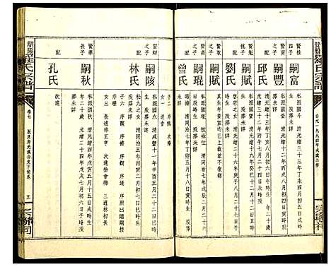 [罗]浏阳罗氏宗谱 (江西) 浏阳罗氏家谱_九.pdf