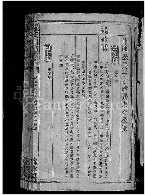 [罗]罗氏四修族谱_不分卷 (江西) 罗氏四修家谱_二.pdf