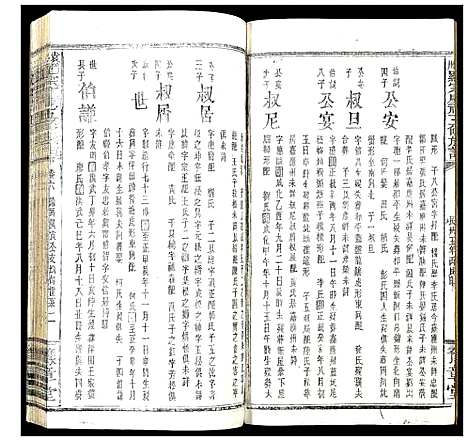 [罗]袁州罗宗庆祠五修族谱 (江西) 袁州罗家庆祠五修家谱_九.pdf