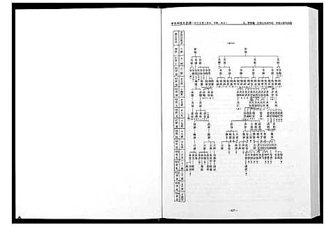 [丘邱]中华丘氏大宗谱 (江西) 中华丘氏大家谱_二.pdf