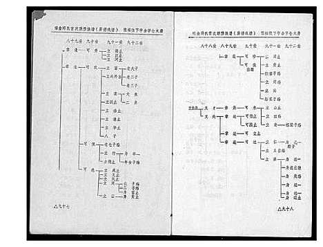 [丘邱]瑞金丘_邱_氏族谱 (江西) 瑞金丘(邱)氏家谱_九.pdf