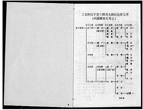 [丘邱]瑞金丘_邱_氏族谱 (江西) 瑞金丘(邱)氏家谱_十六.pdf