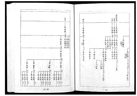 [宋]宁邑赖溪宋氏四修族谱 (江西) 宁邑赖溪宋氏四修家谱_二.pdf