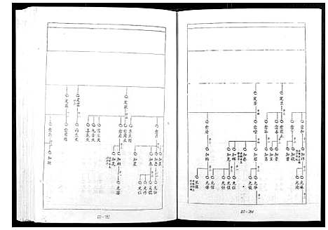 [宋]宁邑赖溪宋氏四修族谱 (江西) 宁邑赖溪宋氏四修家谱_二.pdf