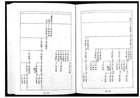 [宋]宁邑赖溪宋氏四修族谱 (江西) 宁邑赖溪宋氏四修家谱_二.pdf